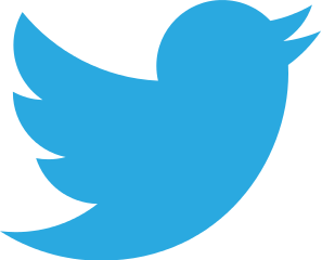 Twitter_bird_logo_2012.svg